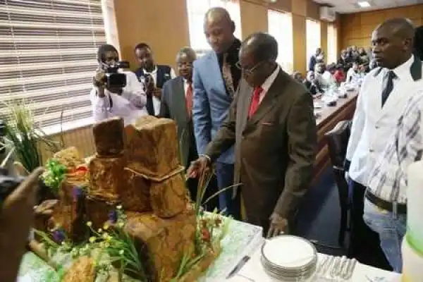 Photos From President Mugabe